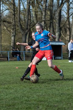 Bild 179 - C-Juniorinnen SV Steinhorst/Labenz - TSV Friedrichsberg-Busdorf : Ergebnis: 5:0